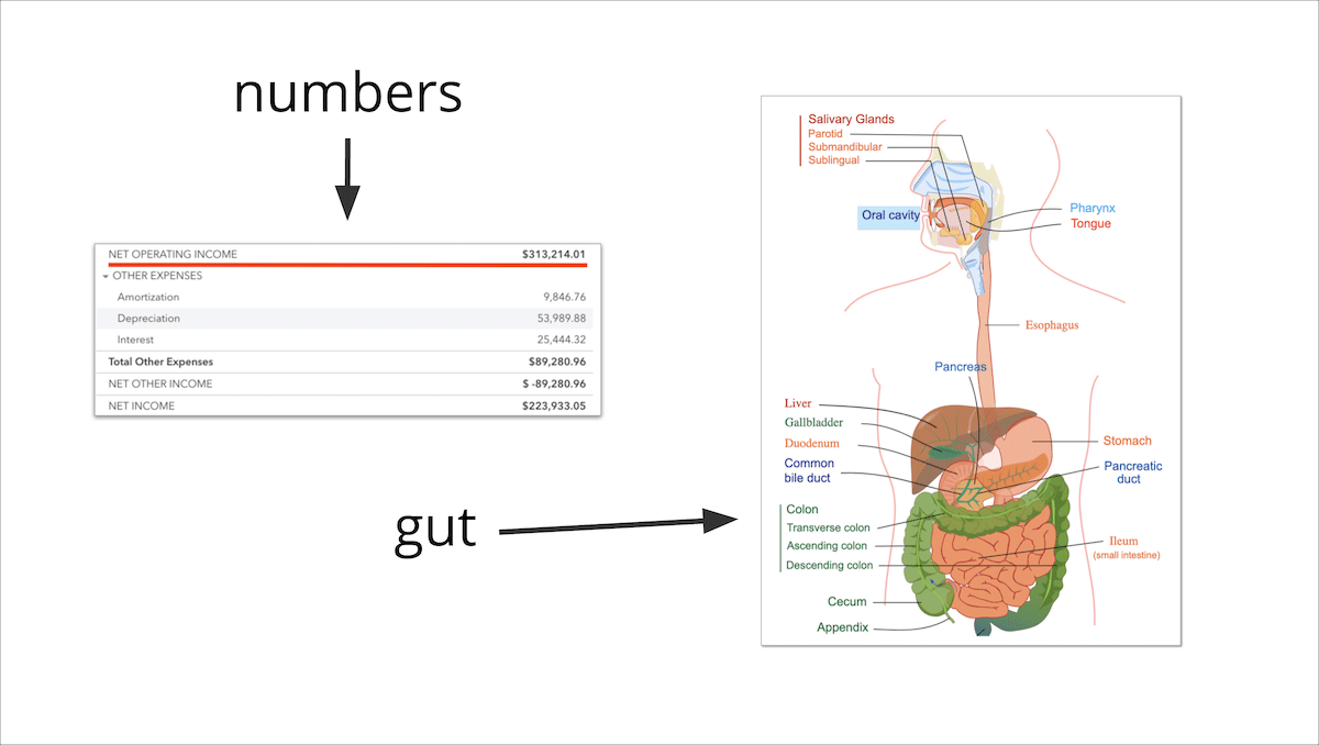 Image of a chart and the digestive system
